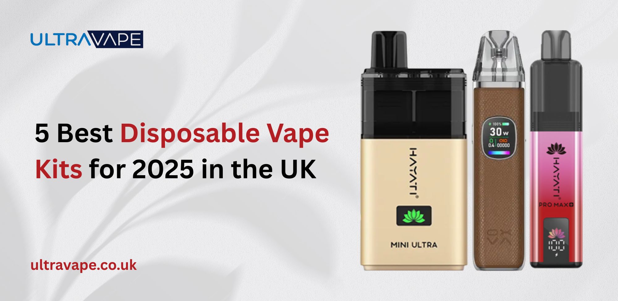 Disposable Vape Kits
